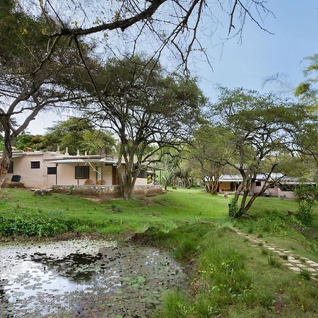 فندق Jungle Hut ماسيناجودي المظهر الخارجي الصورة