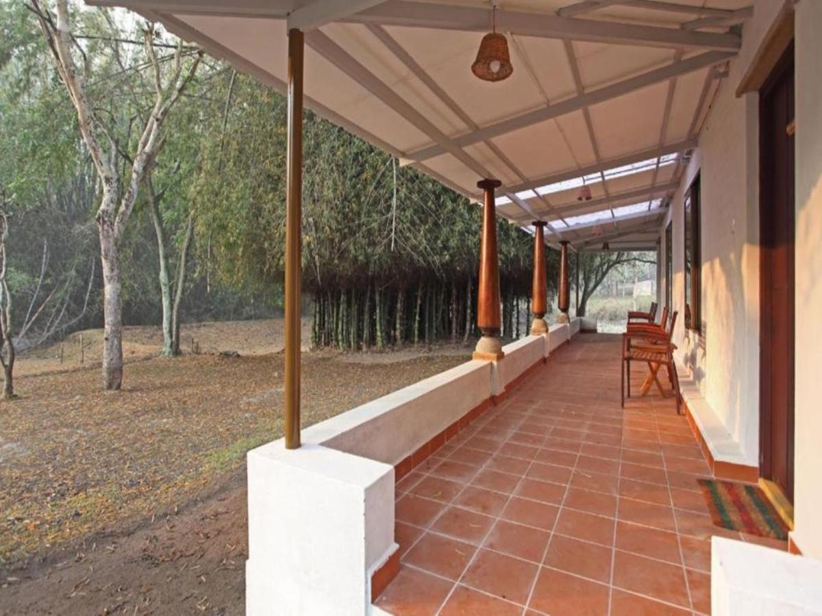 فندق Jungle Hut ماسيناجودي المظهر الخارجي الصورة