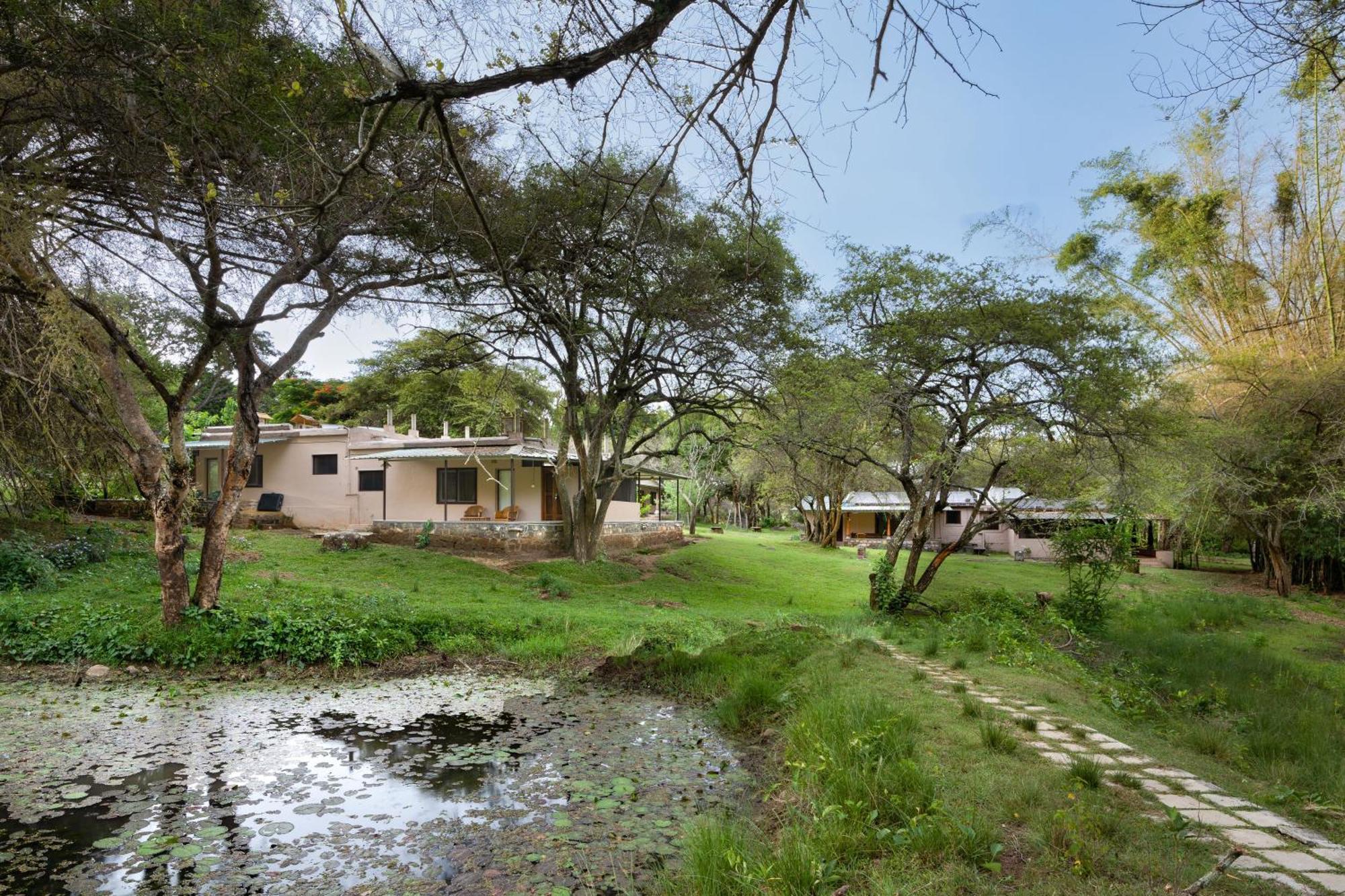 فندق Jungle Hut ماسيناجودي المظهر الخارجي الصورة